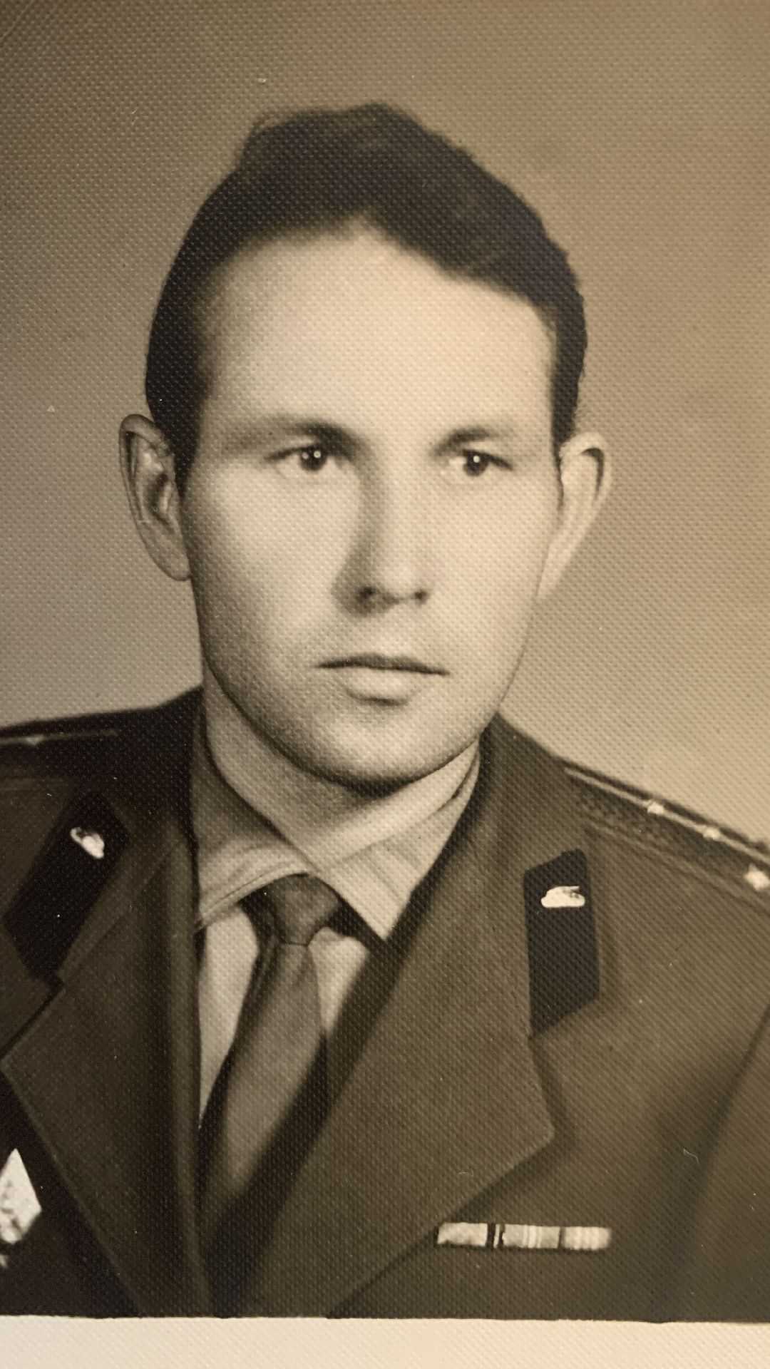 ступино, общество