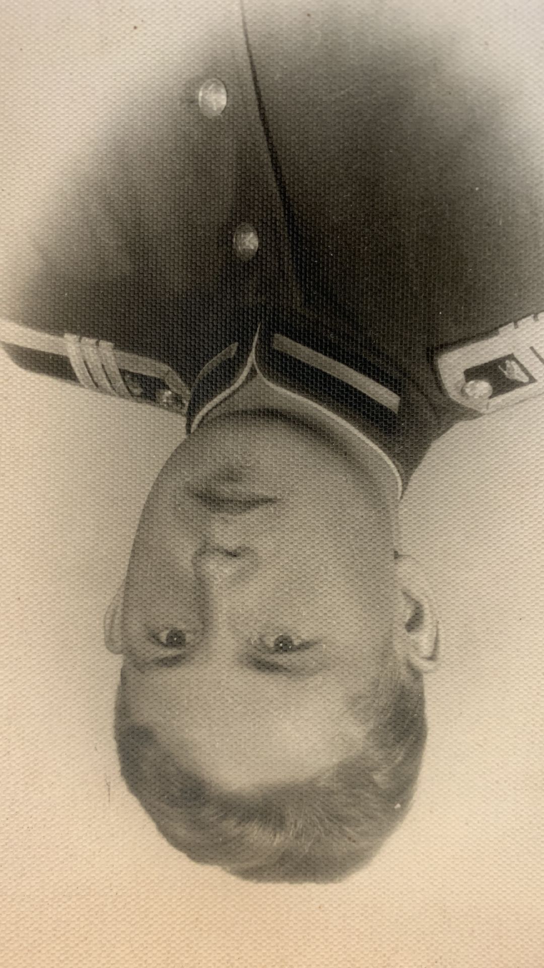 ступино, общество