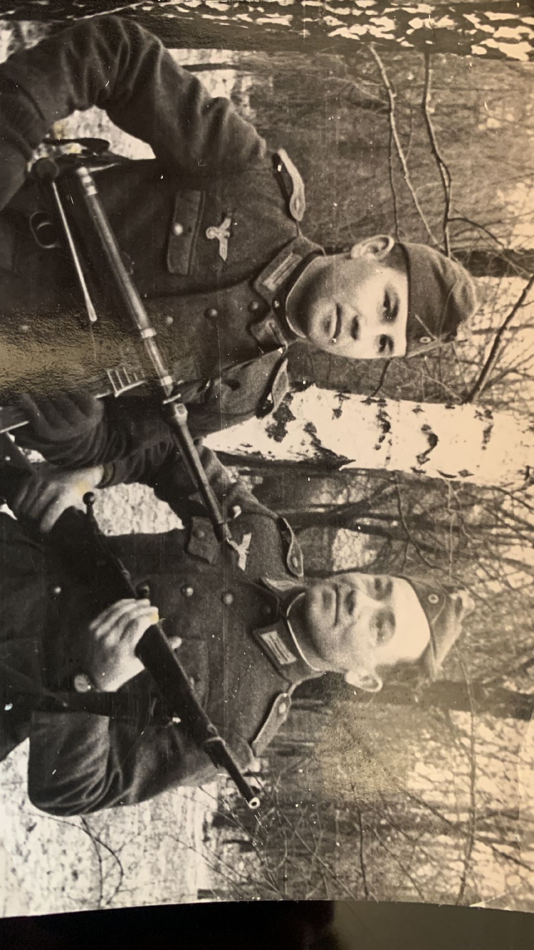 ступино, общество