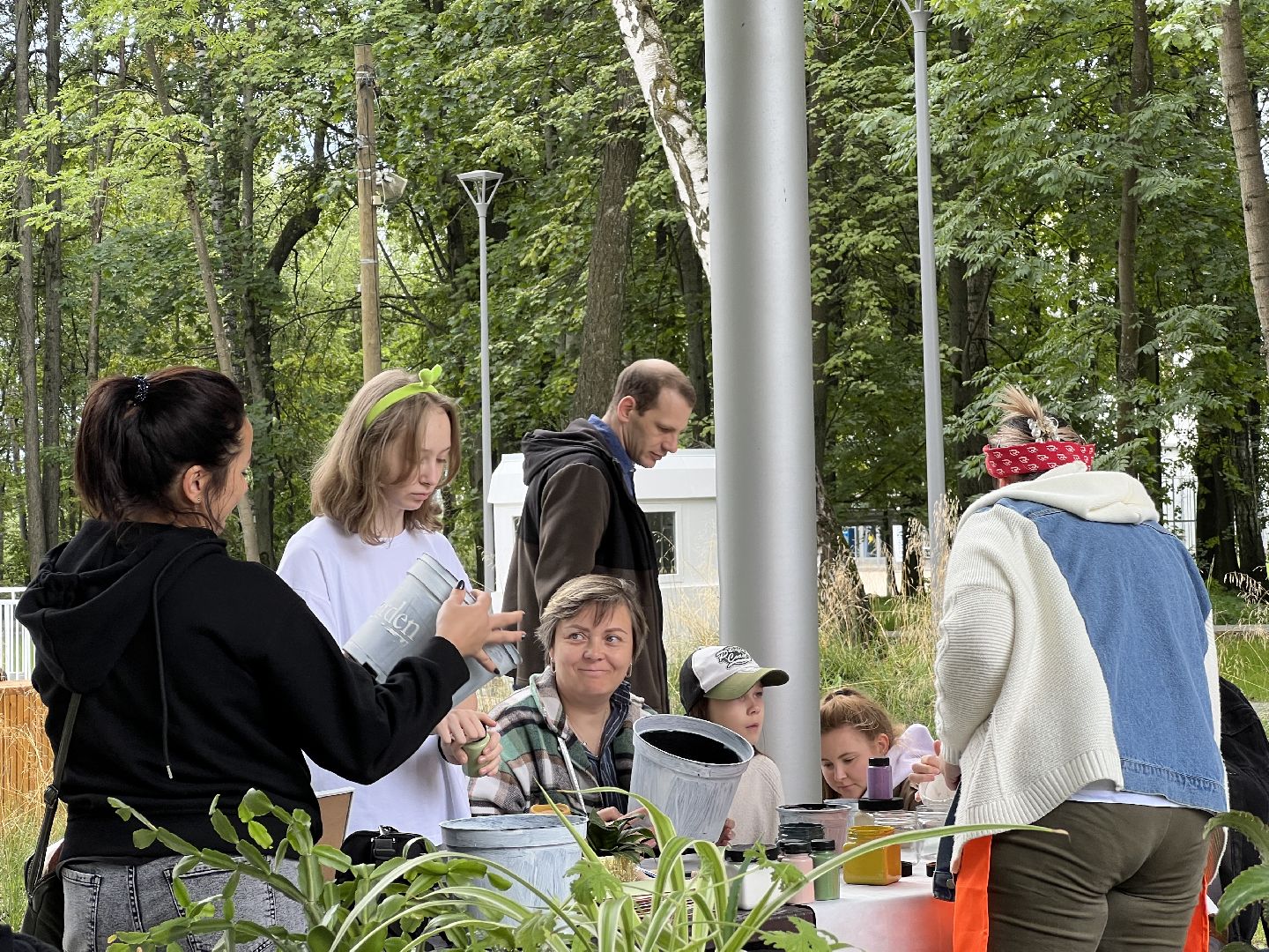 Химки, парк, растения, экология