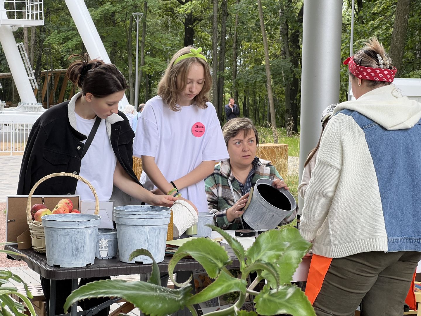 Химки, парк, растения, экология