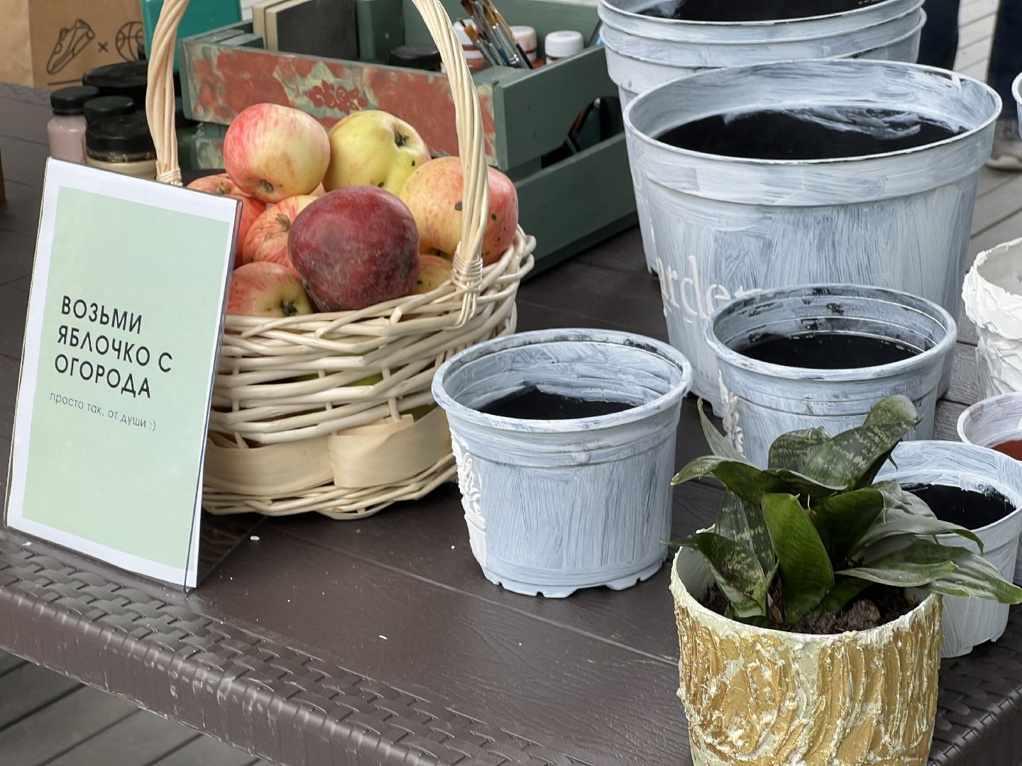 Химки, парк, растения, экология