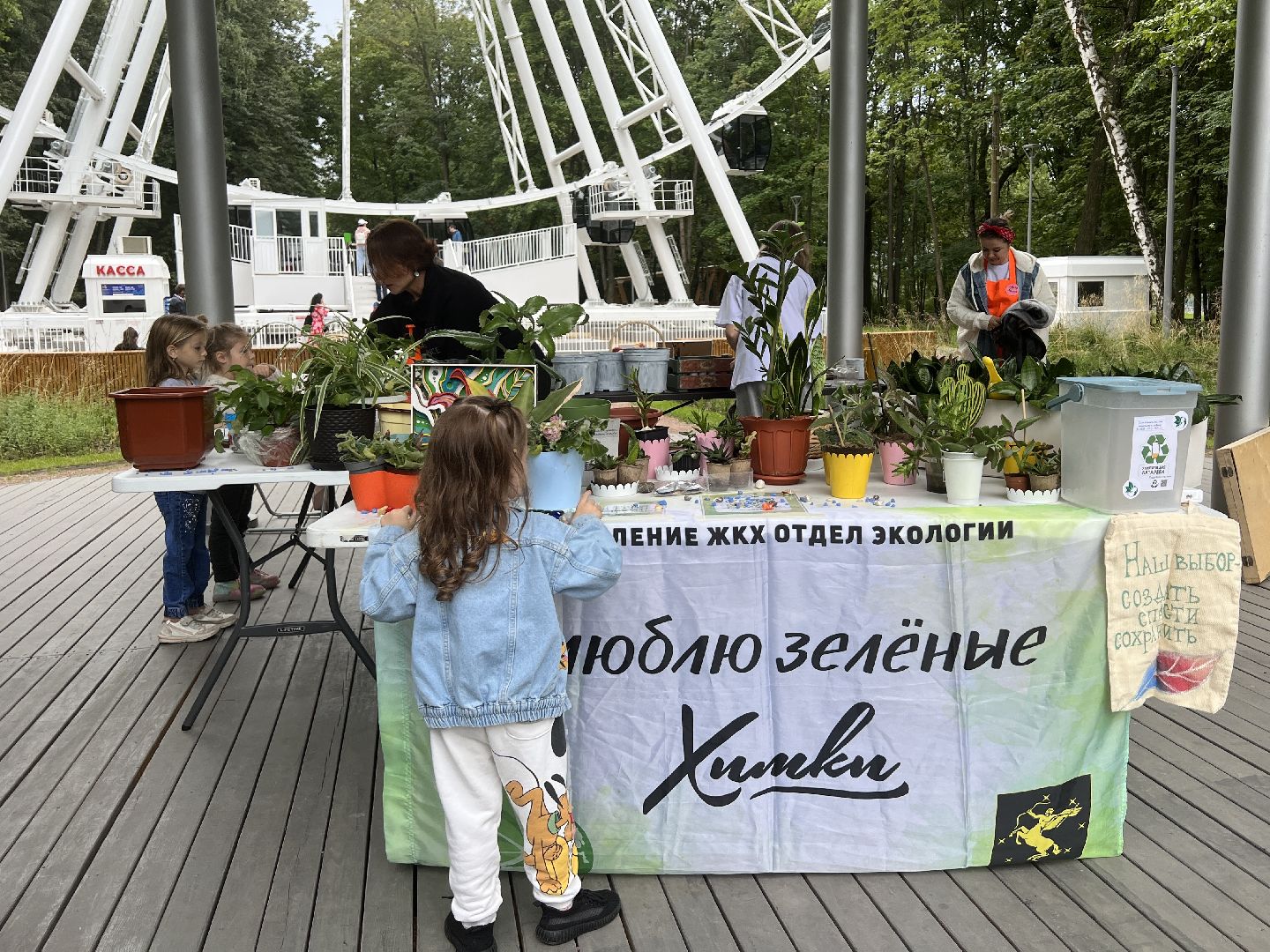 Химки, парк, растения, экология