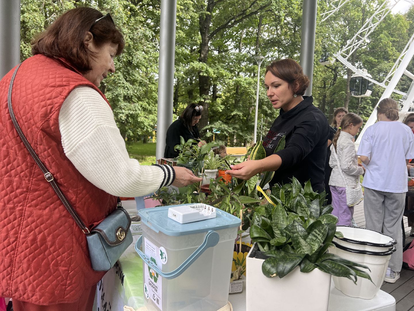 Химки, парк, растения, экология