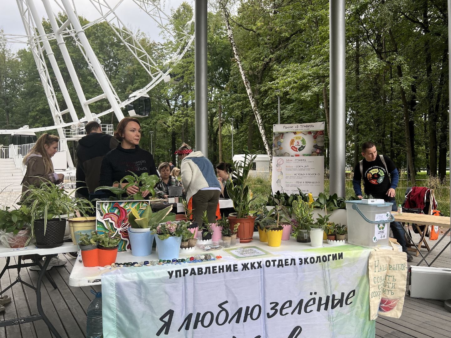 Химки, парк, растения, экология