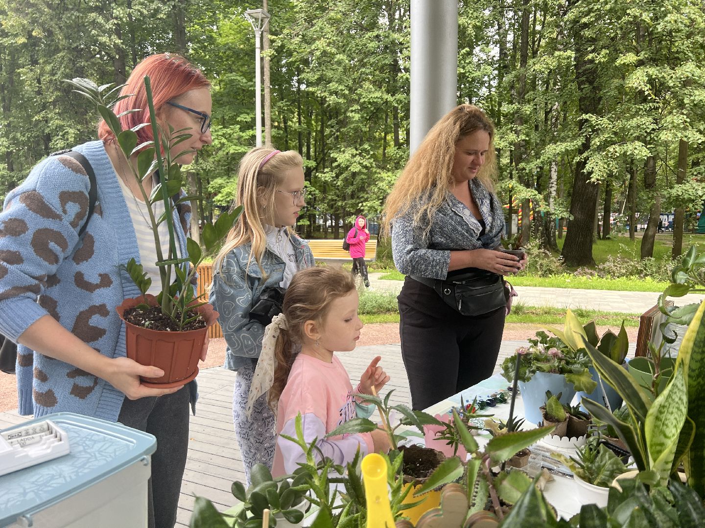 Химки, парк, растения, экология