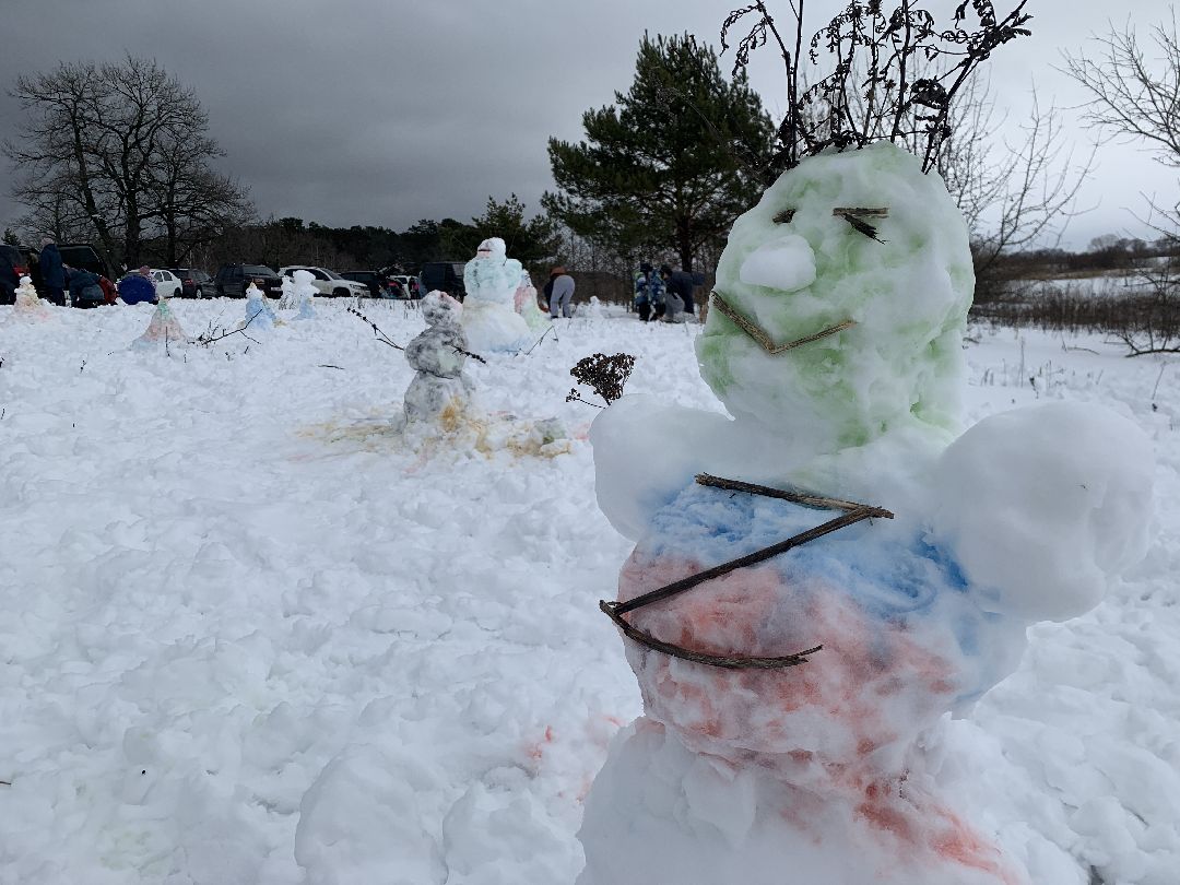 ступино, масленица