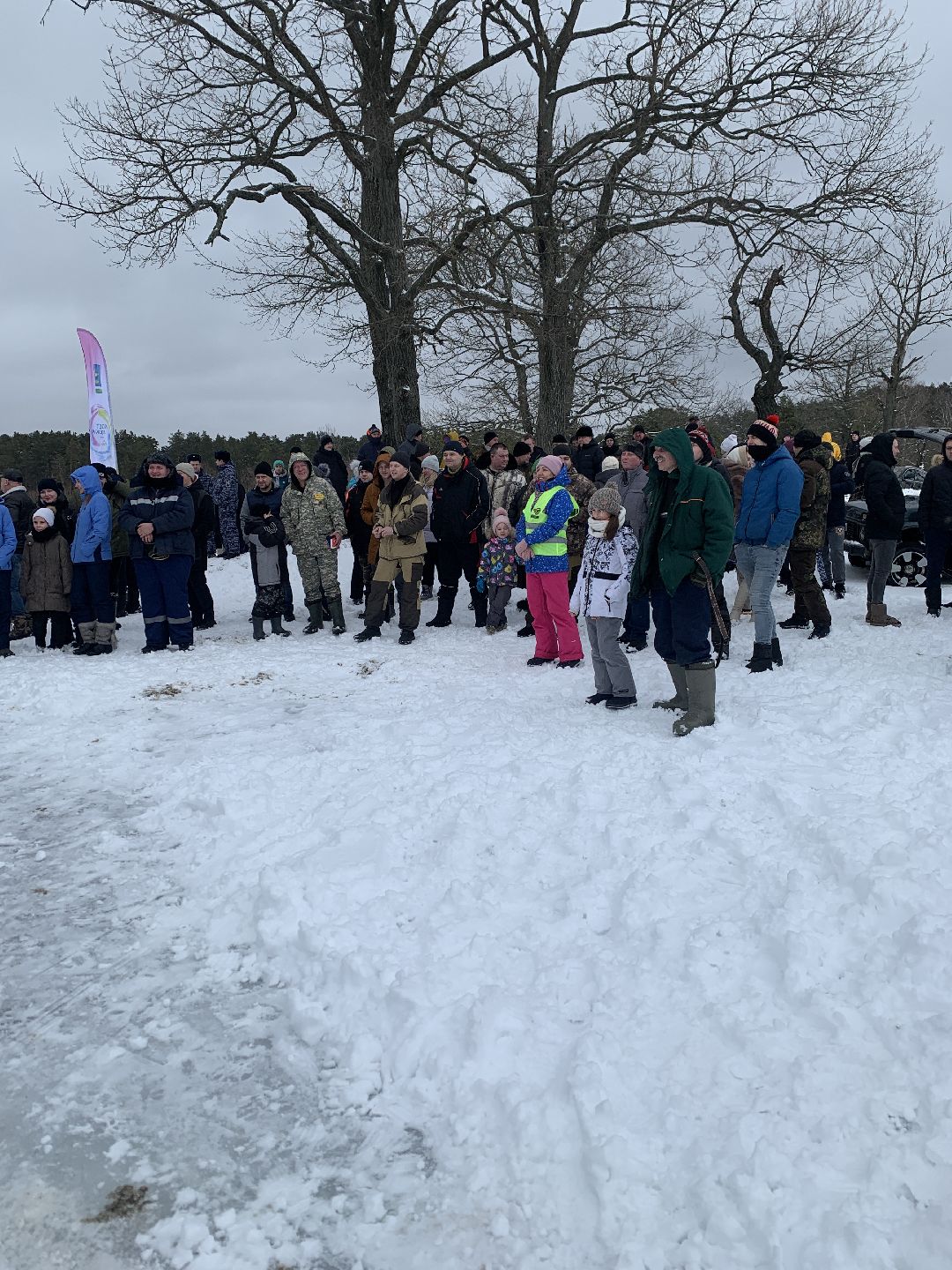 ступино, масленица