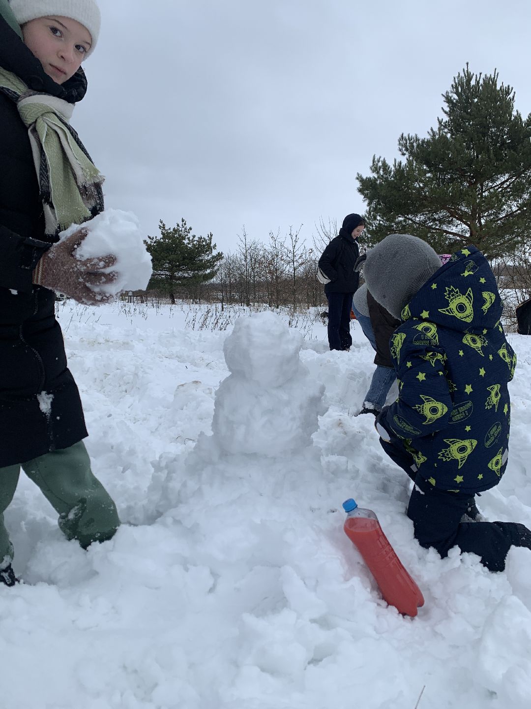ступино, масленица