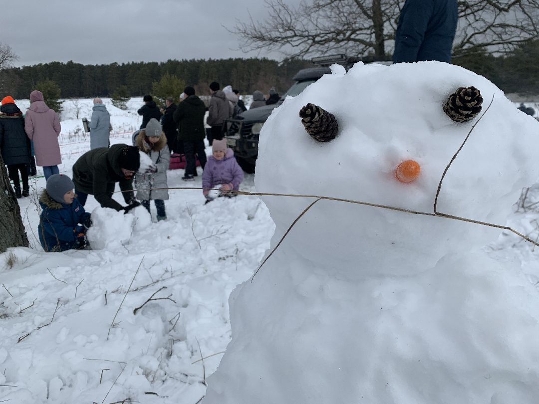 ступино, масленица
