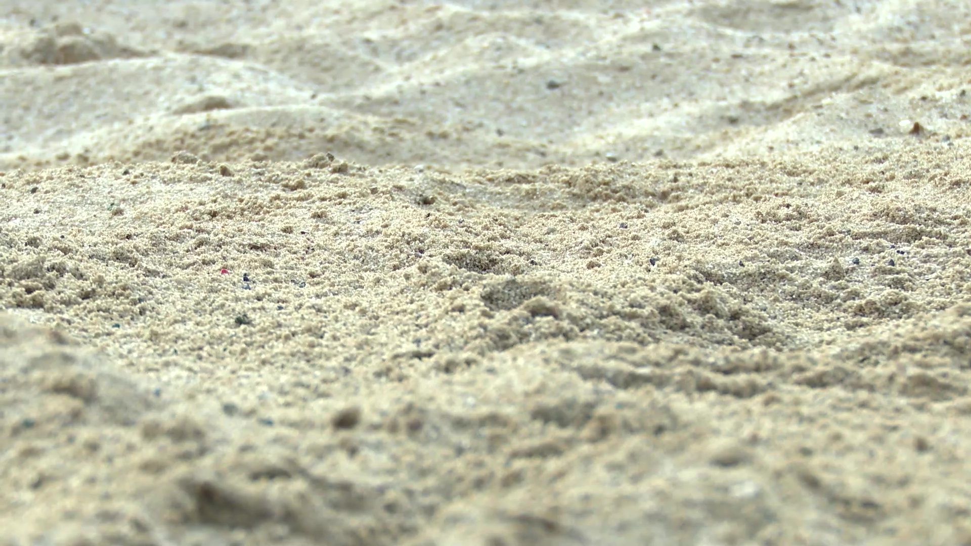 Реутов, спорт, легкая атлетика, прыжки в длину, ветераны