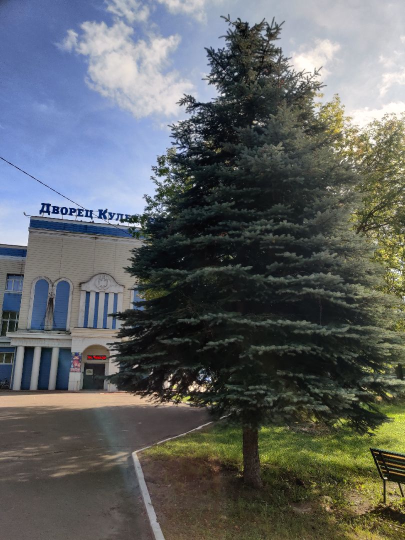 Красноармейск, Пушкинский, парк, удаление деревьев