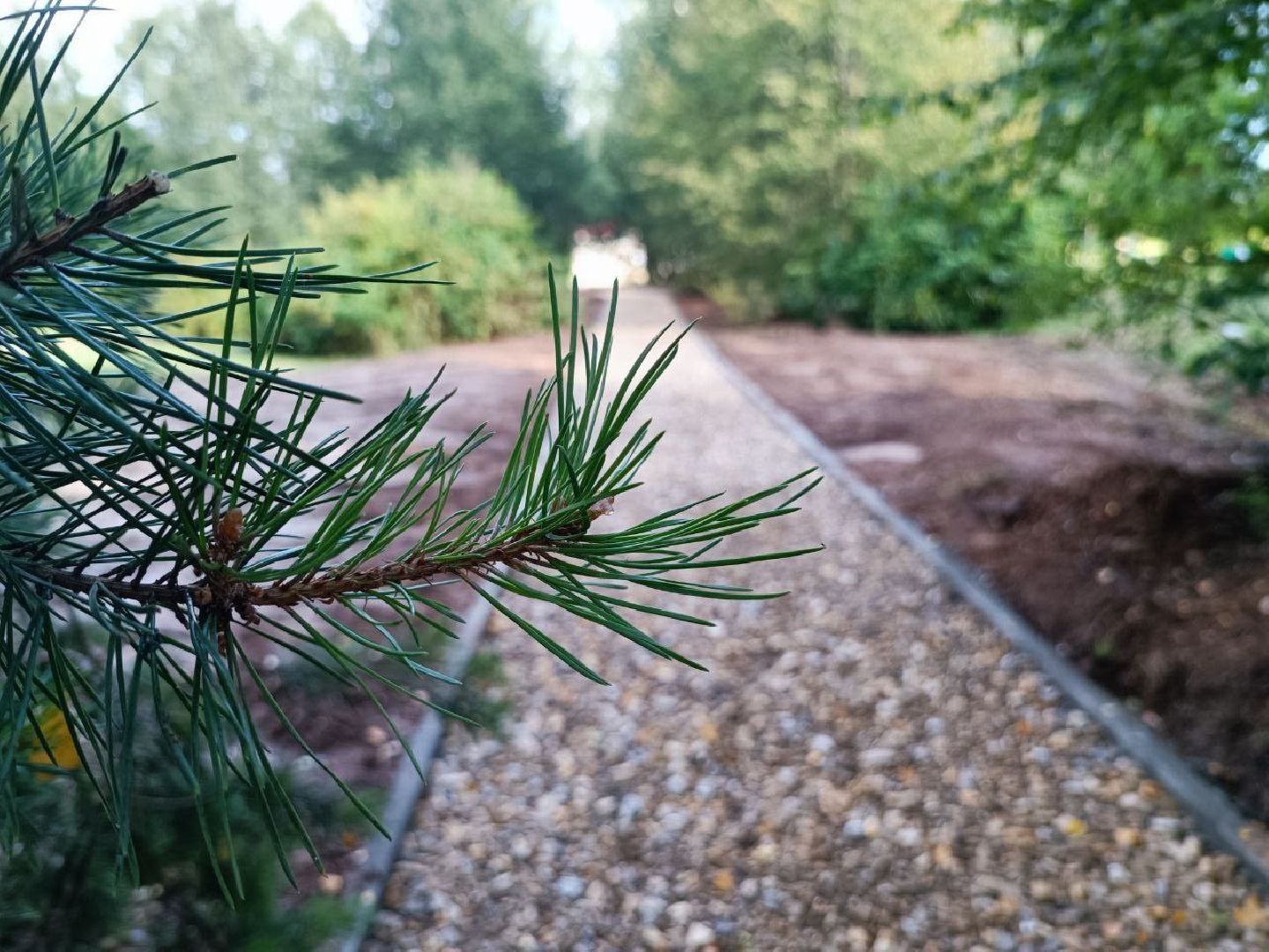 Можайск, Можайский городской округ, Подмосковье, народные тропы, губернатор, программа губернатора, тропы, жители, благоустройство