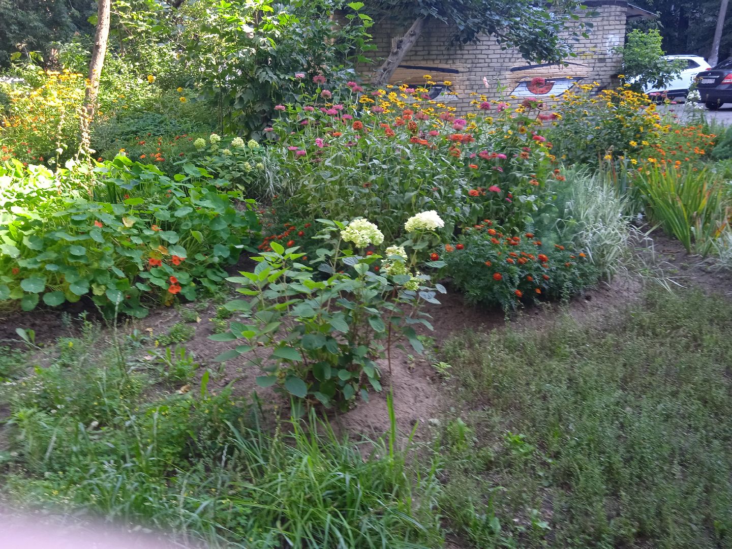 конкурс, благоустройство, лучший, цветник, у дома, фотографии