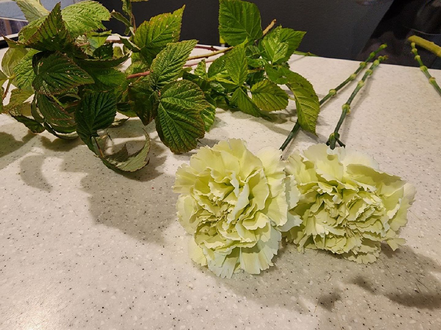 День знаний, праздник, цветы, букет, букет учителю, 1 сентября, осень, Лосино-Петровский