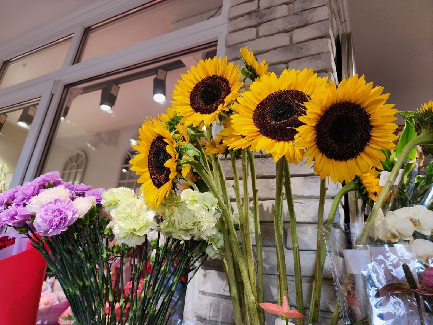 День знаний, праздник, цветы, букет, букет учителю, 1 сентября, осень, Лосино-Петровский