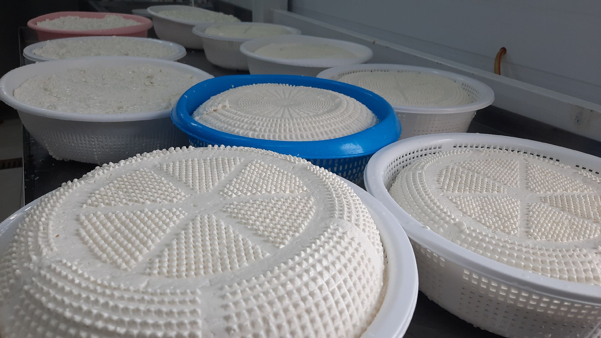 Агротуризм в Наро-Фоминске, фермерское хозяйство Джаппуева, Наро-Фоминск