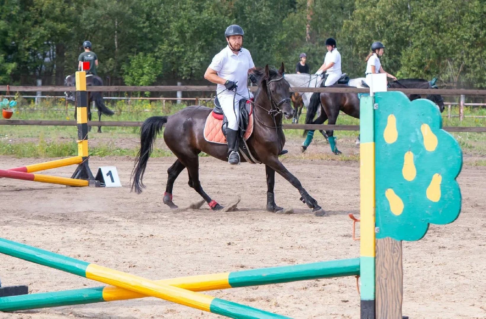 Спорт, конный спорт, конкур, соревнования, Орехово-Зуево