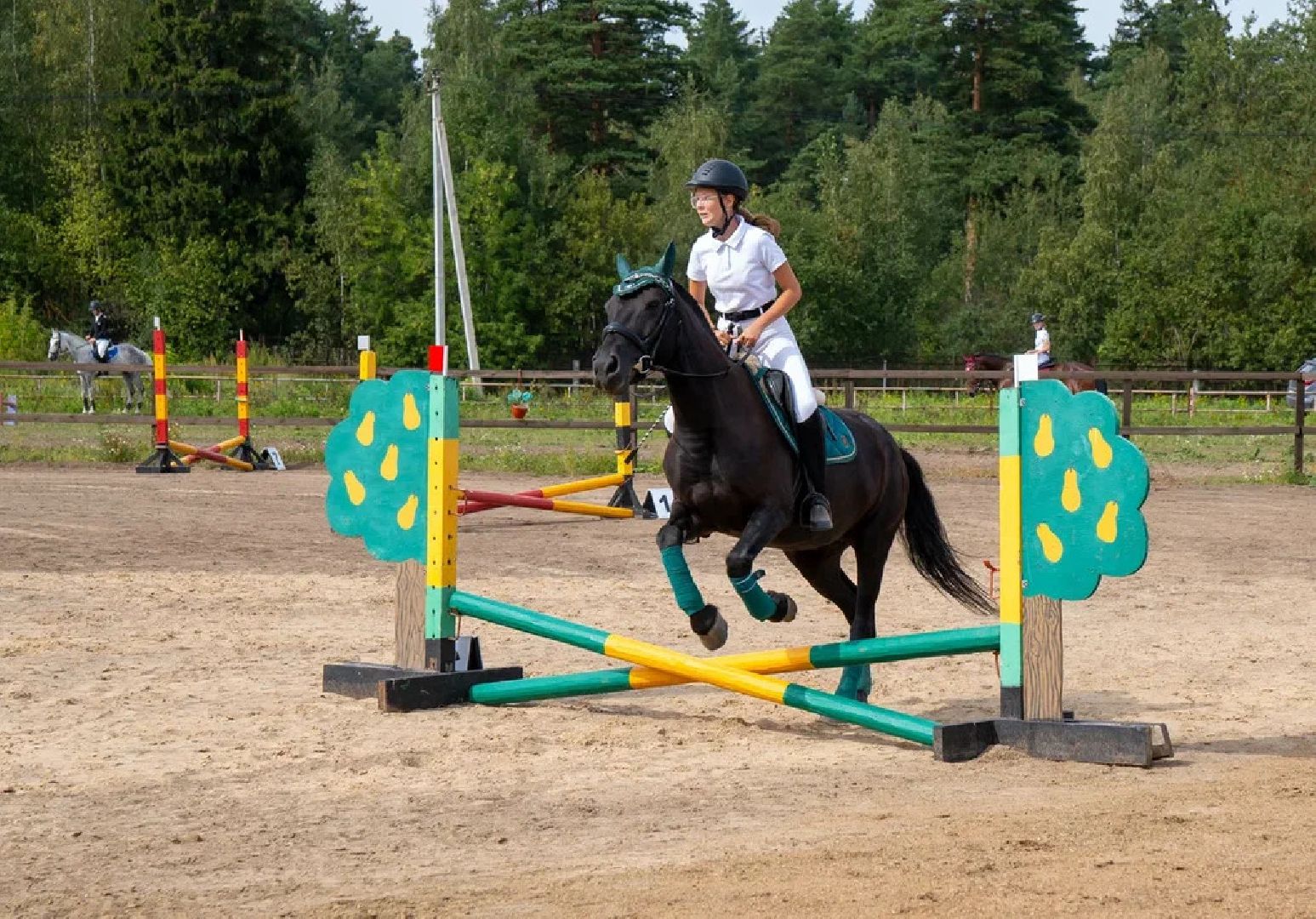 Спорт, конный спорт, конкур, соревнования, Орехово-Зуево