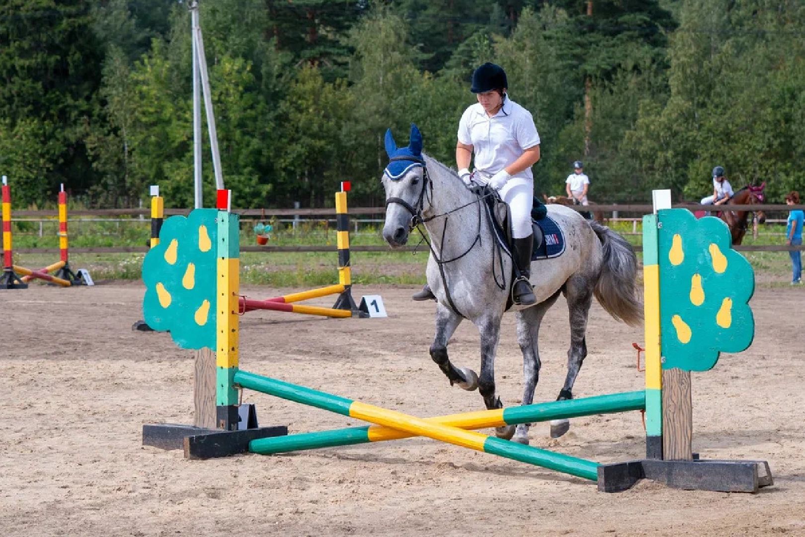 Спорт, конный спорт, конкур, соревнования, Орехово-Зуево