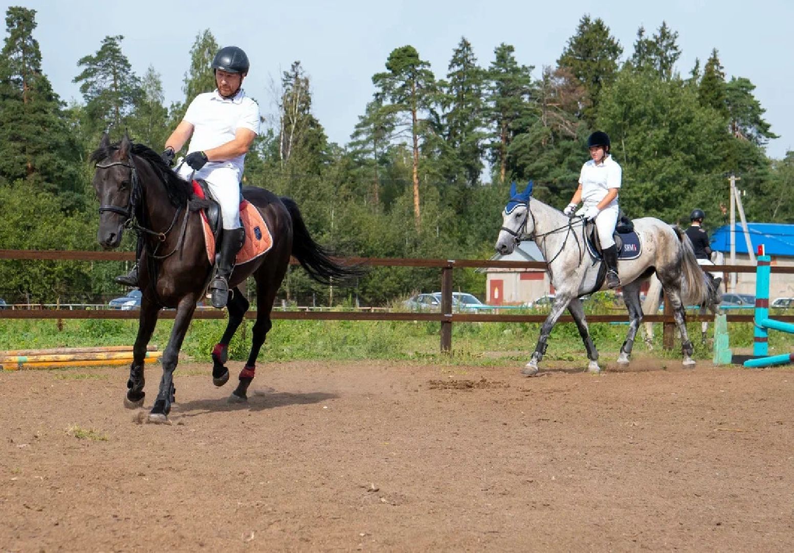 Спорт, конный спорт, конкур, соревнования, Орехово-Зуево