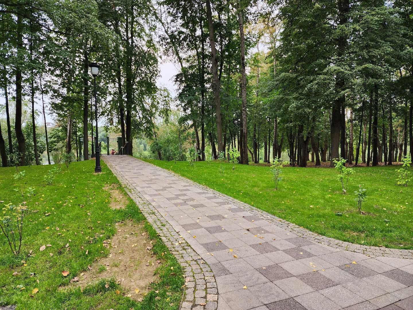 Раменское, благоустройство, Раменский городской парк, смотровая площадка с видом на озеро