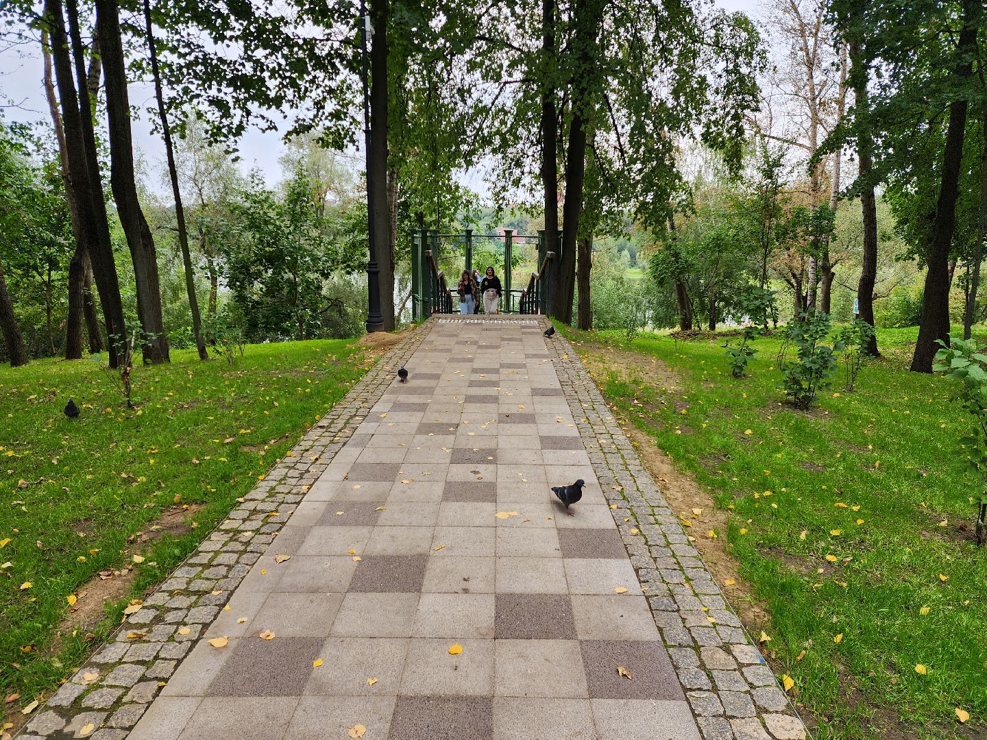 Раменское, благоустройство, Раменский городской парк, смотровая площадка с видом на озеро