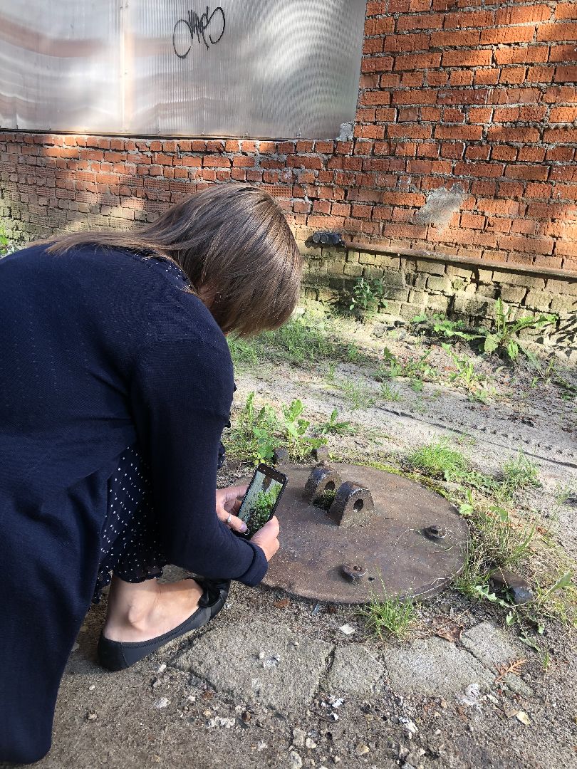 коломна, культура, шёлковая фабрика