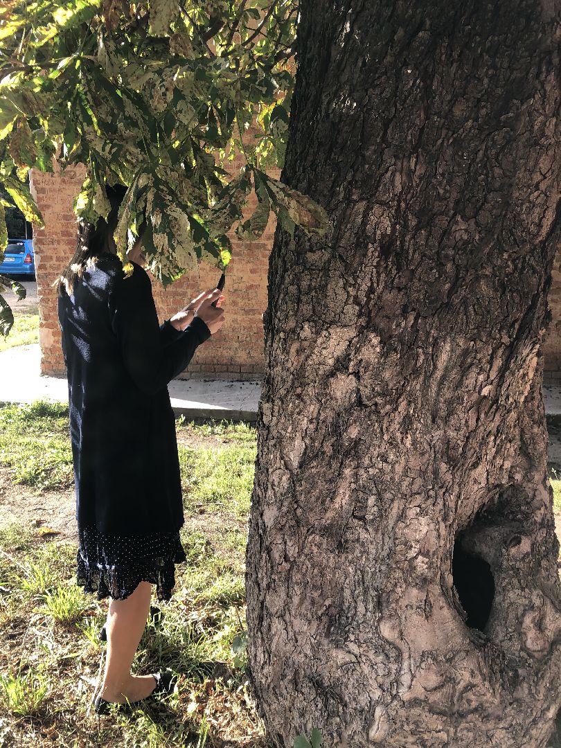 коломна, культура, шёлковая фабрика