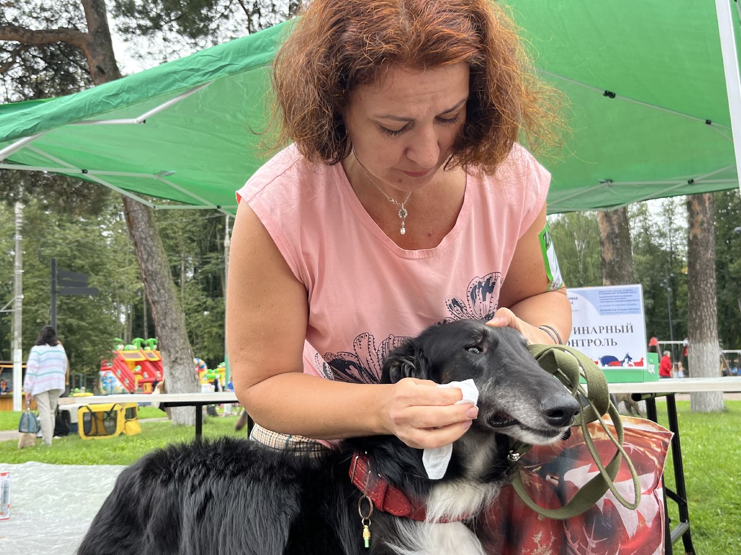 Наро-Фоминск, Нара-Дог, выставка собак, кане-корсо, русская псовая борзая