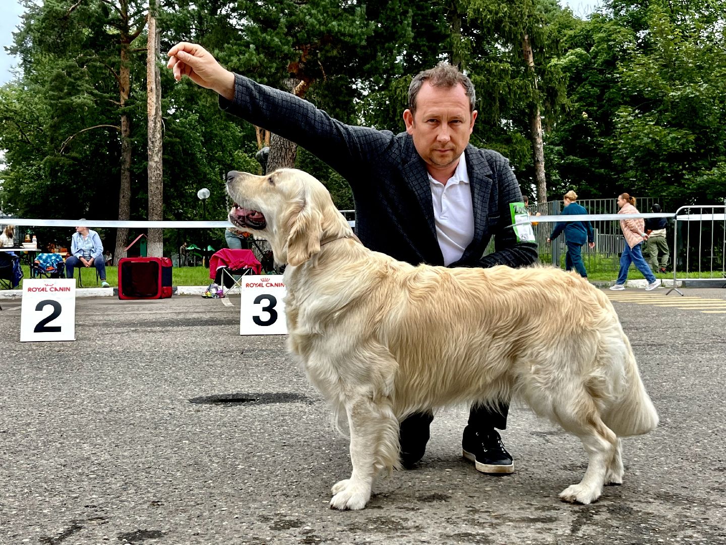 Наро-Фоминск, Нара-Дог, выставка собак, кане-корсо, русская псовая борзая