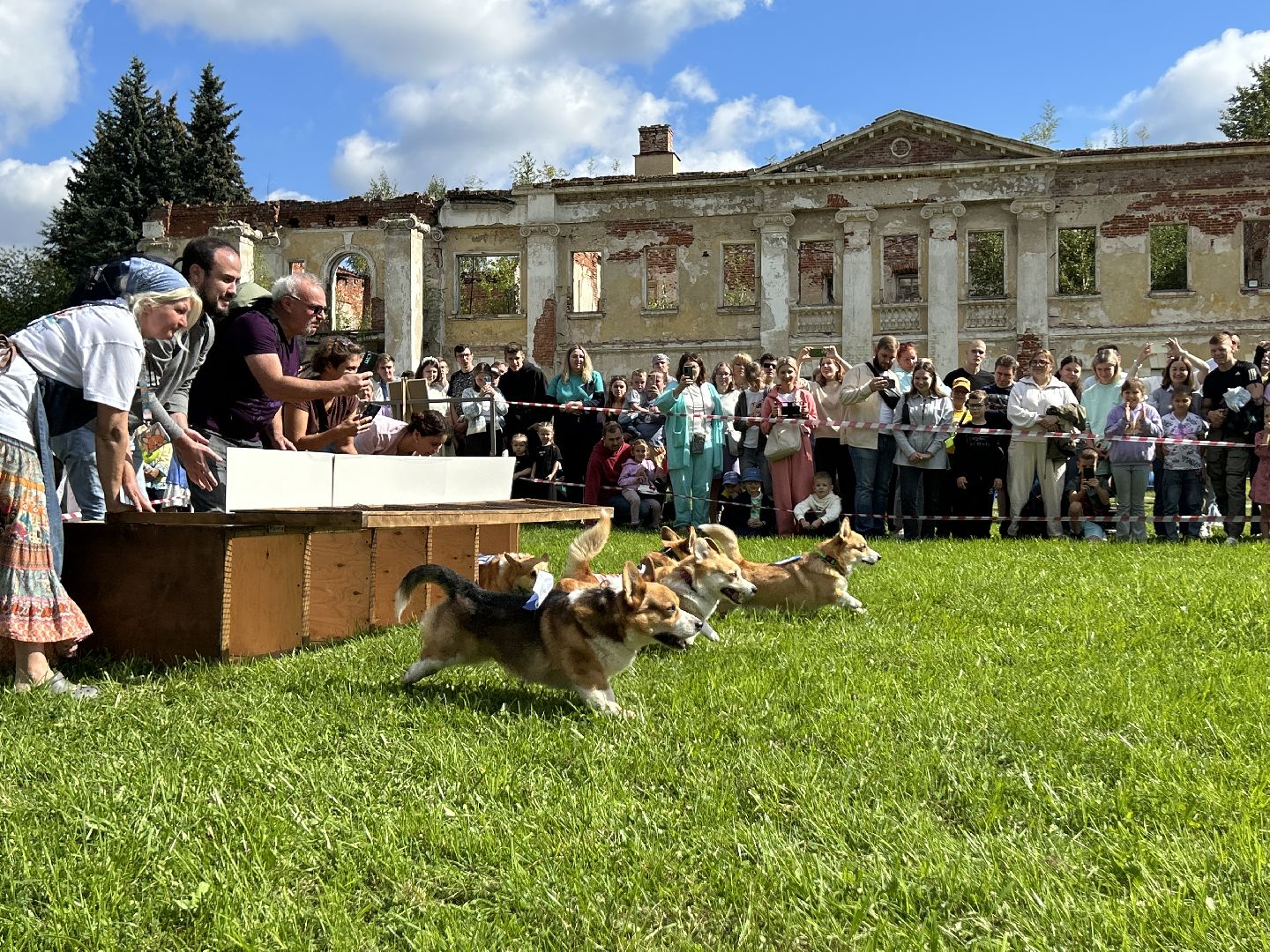 фестиваль, собаки, Щёлково, усадьба, спасатели