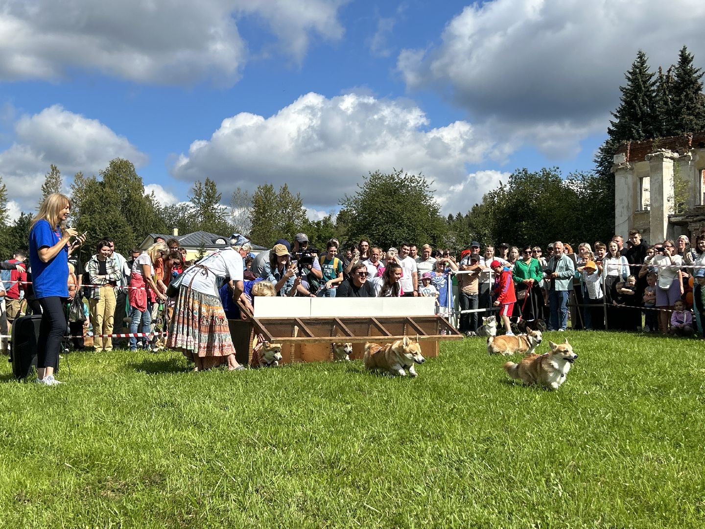 фестиваль, собаки, Щёлково, усадьба, спасатели