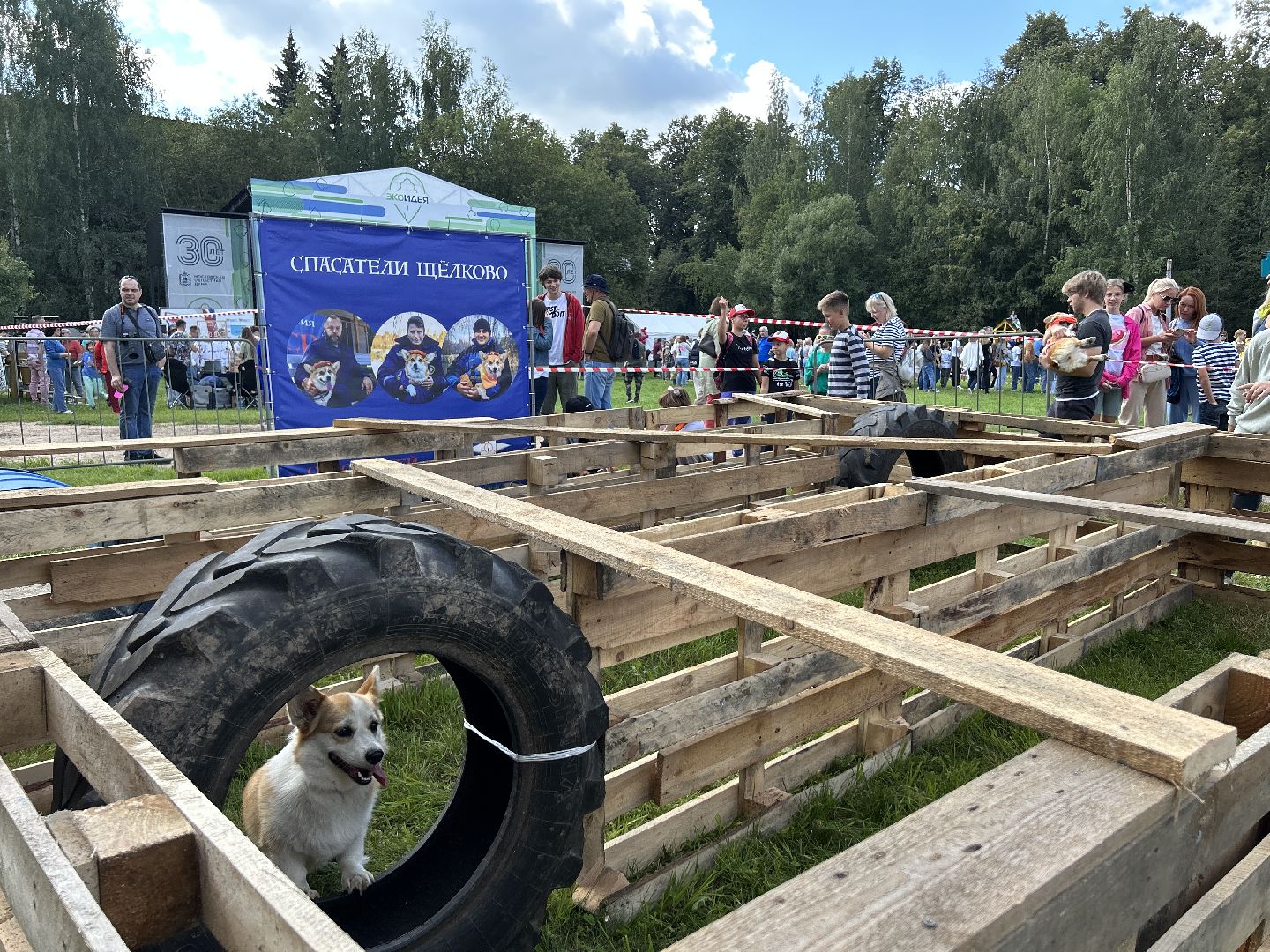 фестиваль, собаки, Щёлково, усадьба, спасатели