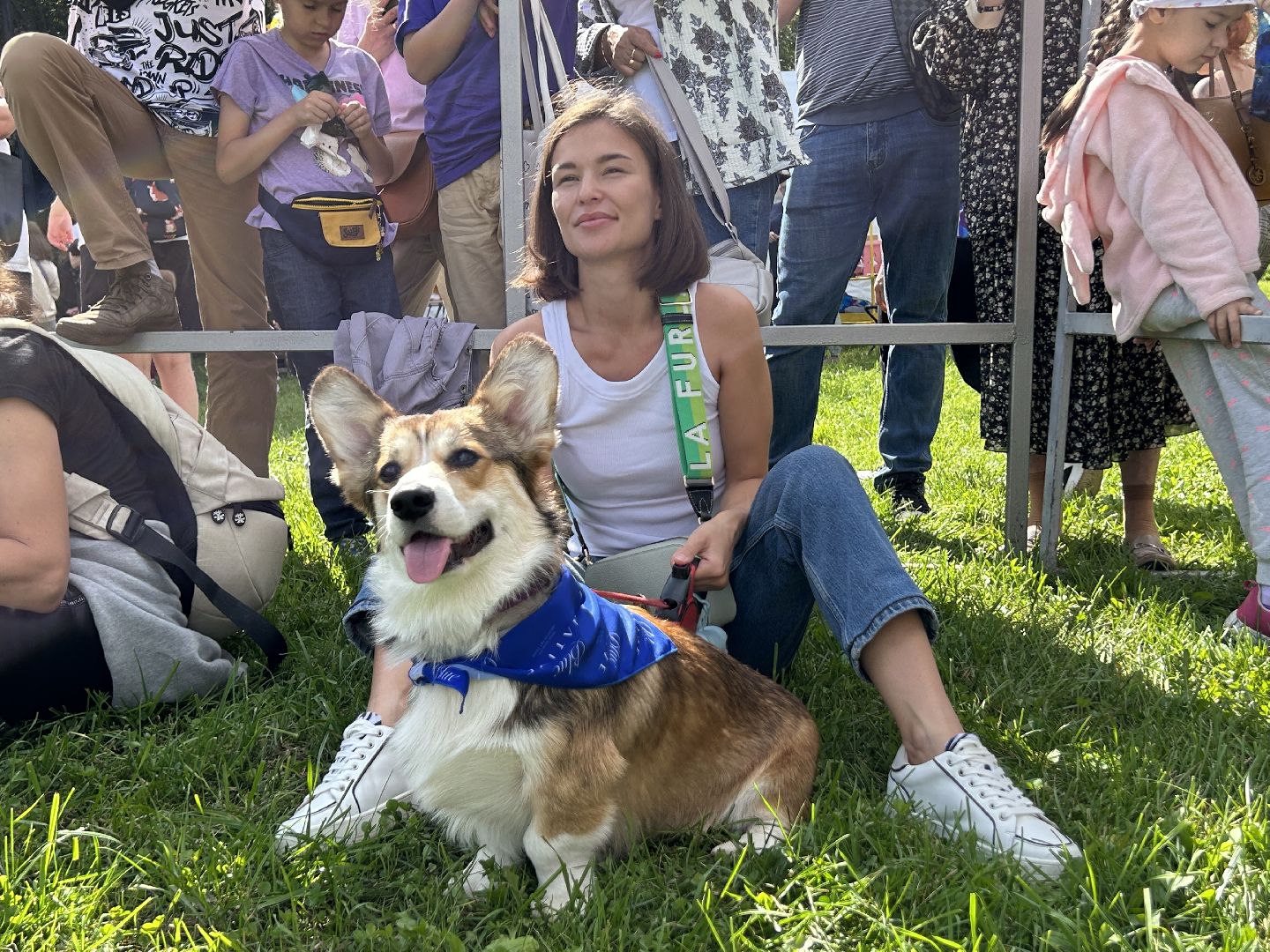 фестиваль, собаки, Щёлково, усадьба, спасатели