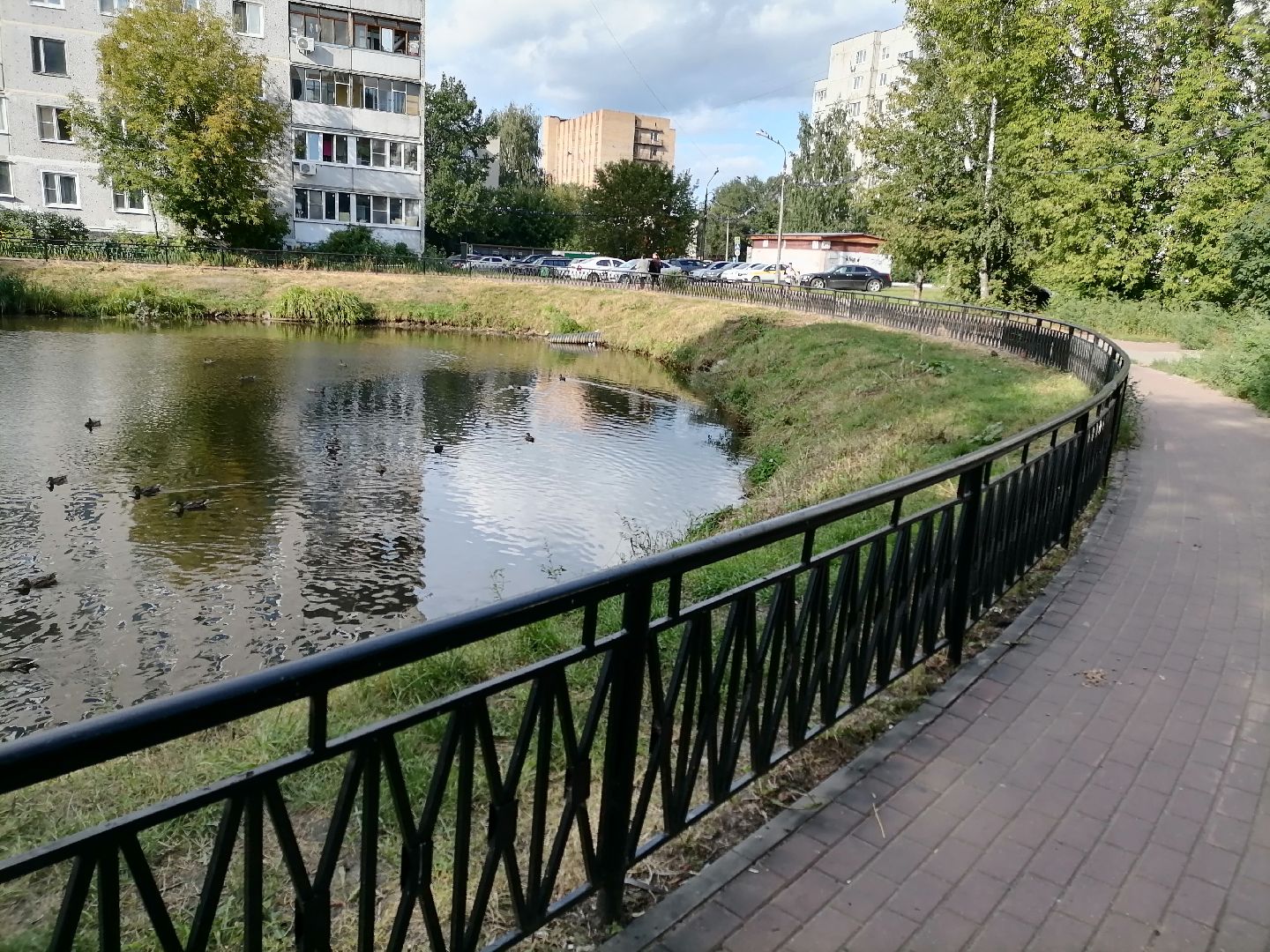 дворыподмосковья