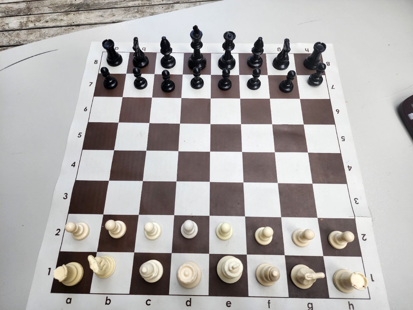 Звенигород, спорт, шахматный клуб, библиотека Звенигорода № 1