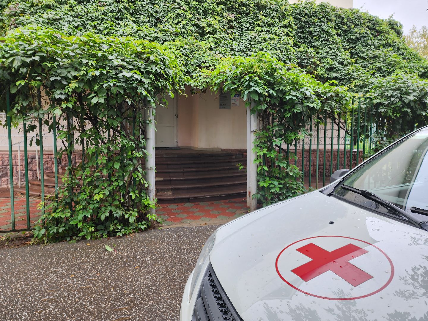 Подольск, детский врач, земский доктор, господдержка