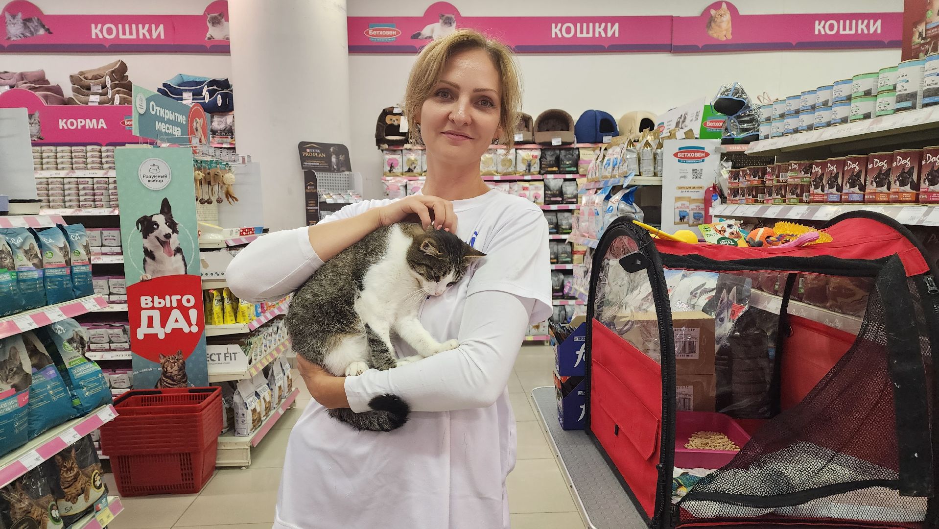 спасение животных, благотворительность, волонтерство, Котельники