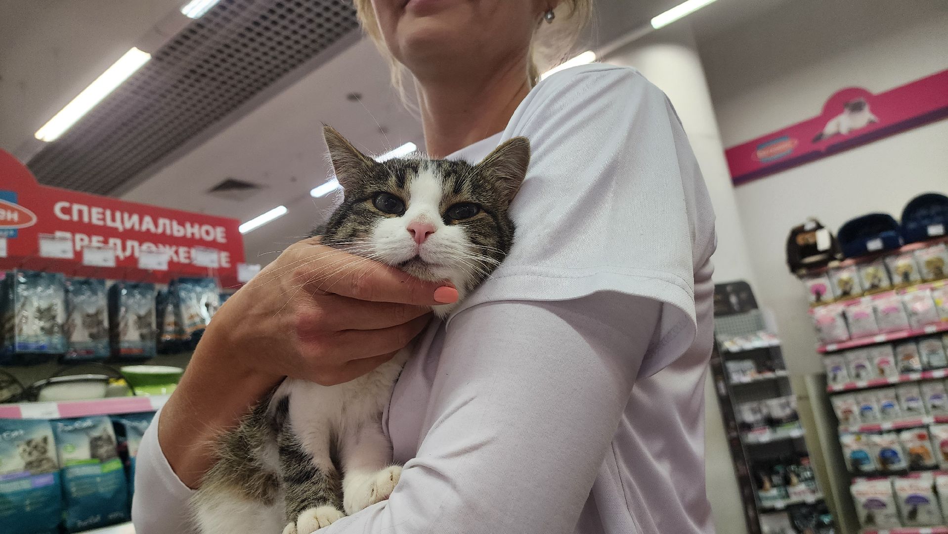 спасение животных, благотворительность, волонтерство, Котельники