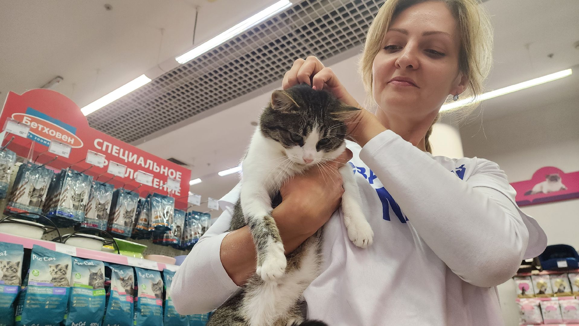 спасение животных, благотворительность, волонтерство, Котельники