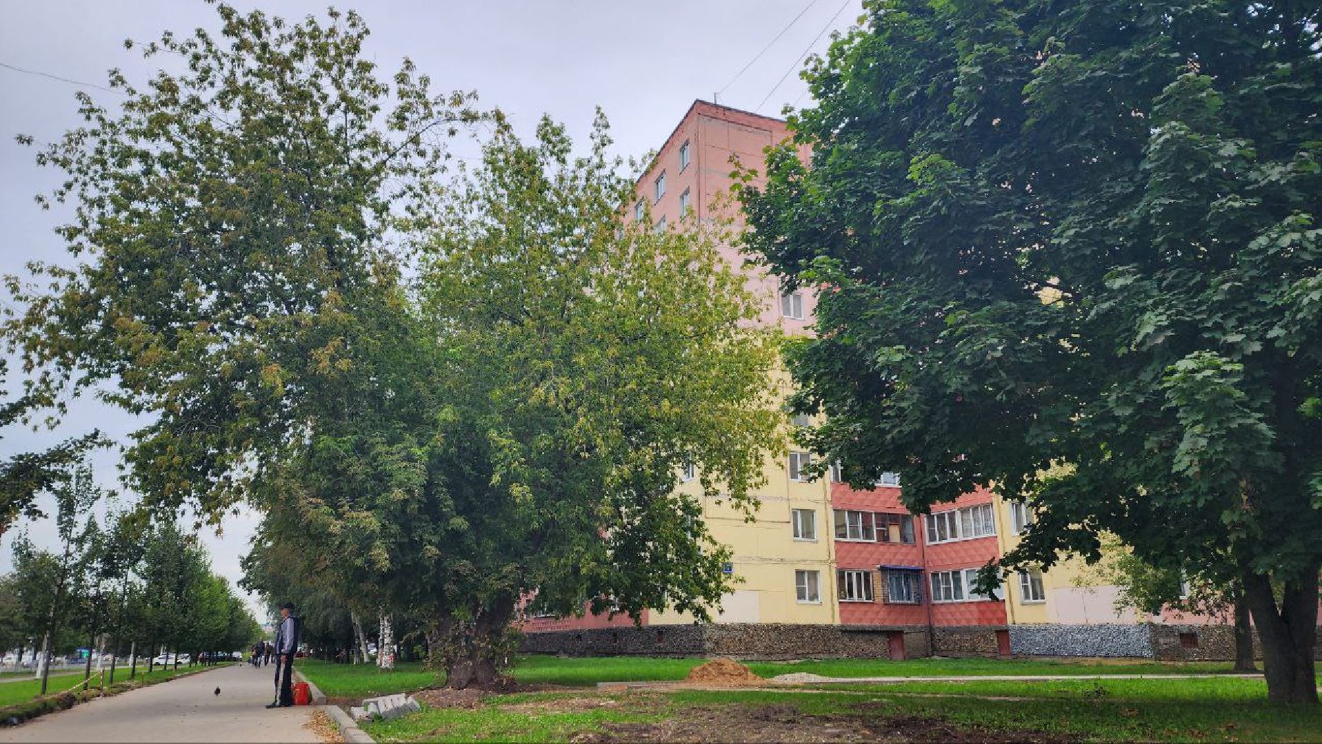 Дмитров, Метеостанция, Погода