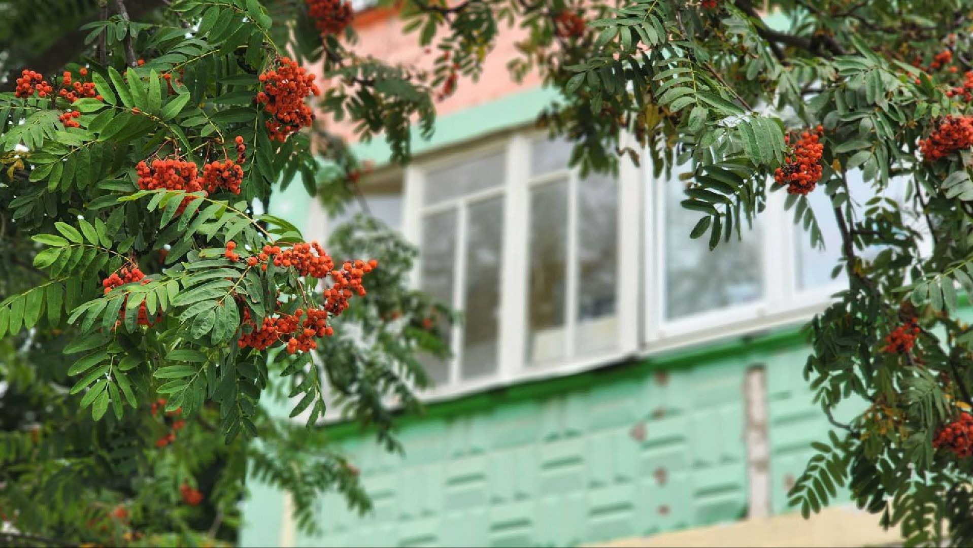 Дмитров, Метеостанция, Погода