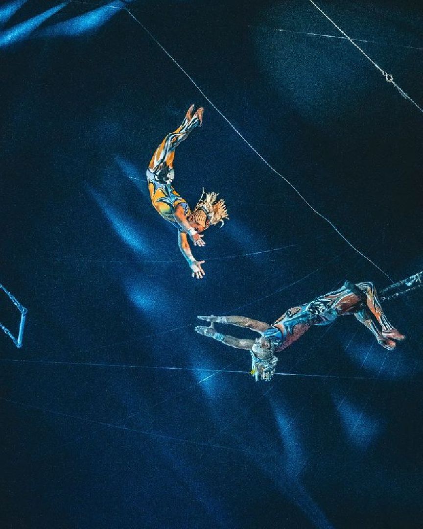 Одинцово, сколково, спорт, трапеция, гимнаст, любовь,