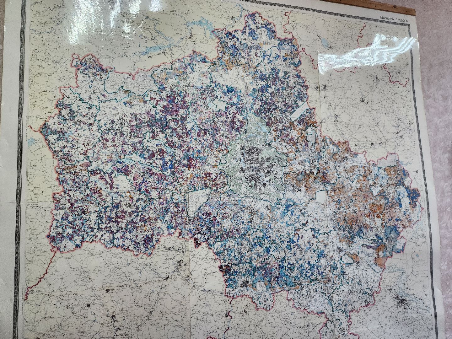 Серпухов, Подмосковье, лес, Русский лес, лучший добровольный пожарный Московской области