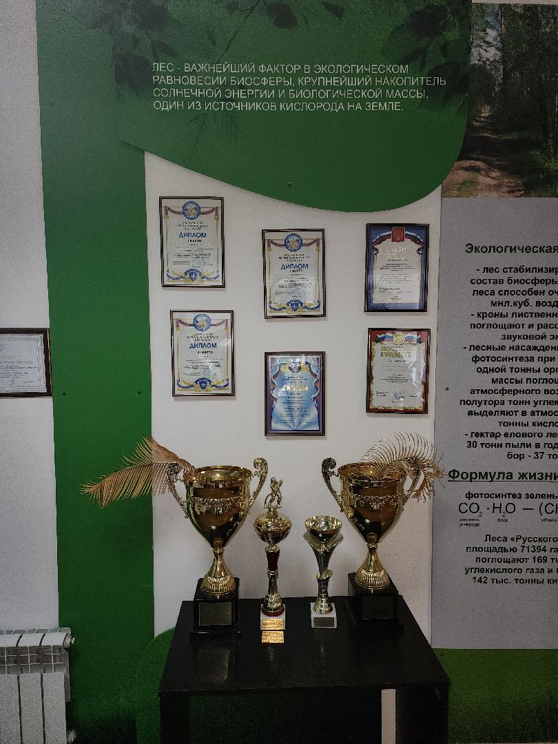 Серпухов, Подмосковье, лес, Русский лес, лучший добровольный пожарный Московской области