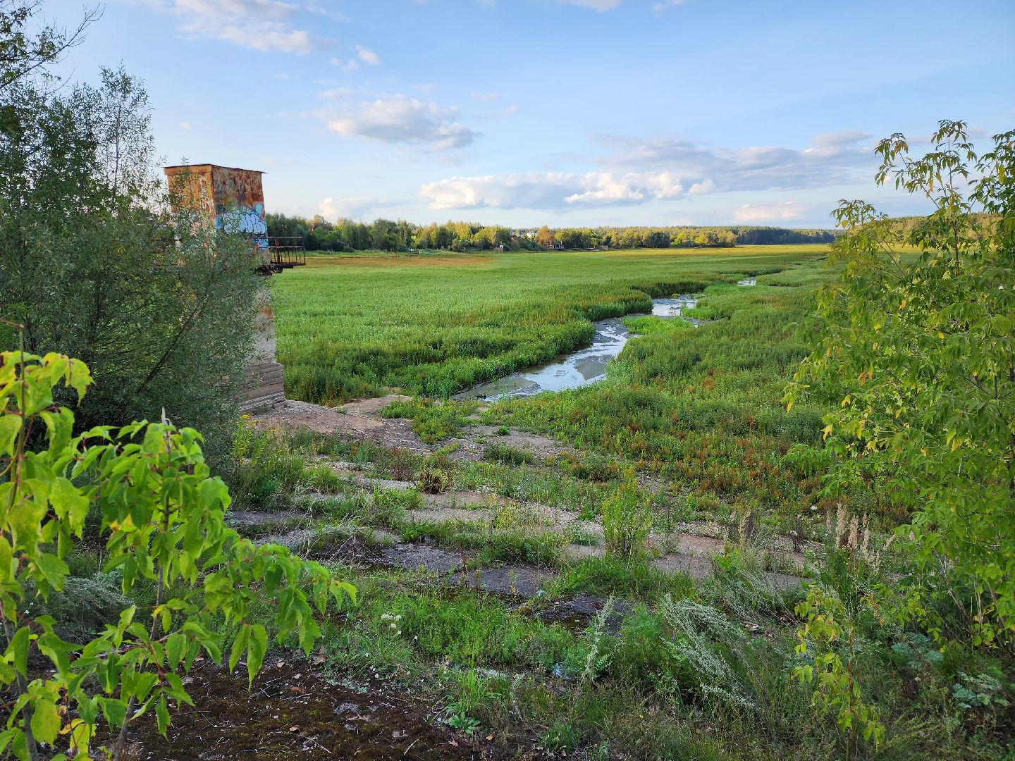 Раменское, экология, озеро в Поповке