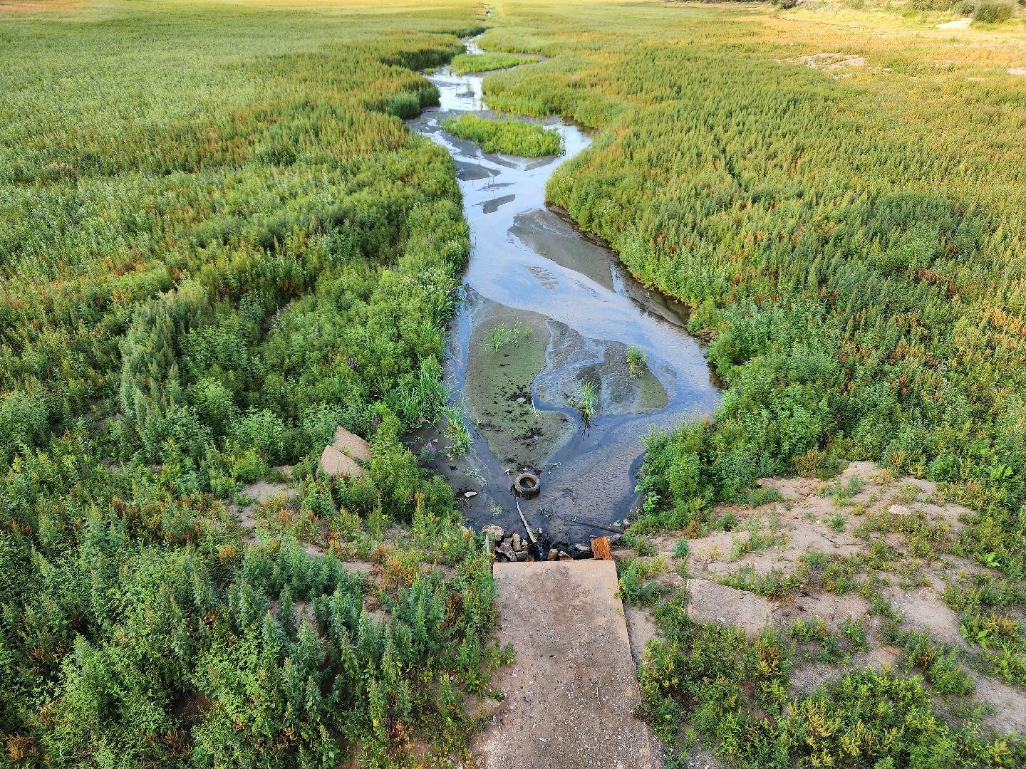 Раменское, экология, озеро в Поповке