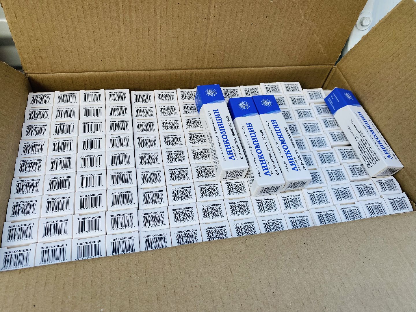 Балашиха, гуманитарная помощь, благотворительный фонд, беженцы