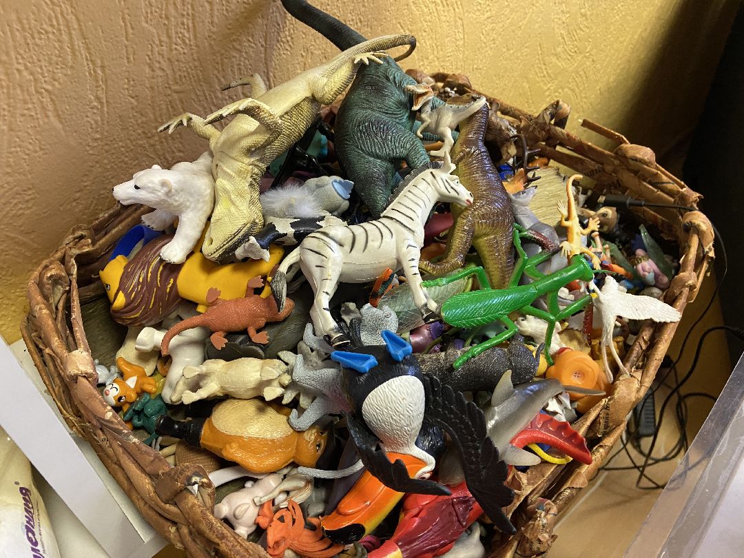 Волоколамск, редан, психолог, подростки, дети, помощь людям, предупреждение,